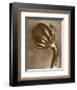 Sepia Botany Study VI-Karl Blossfeldt-Framed Premium Giclee Print