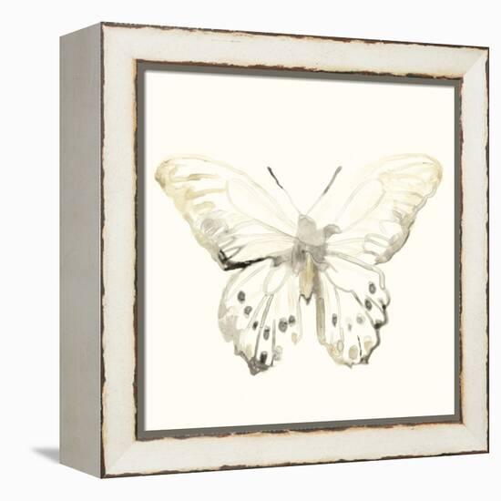 Sepia Butterfly Impressions II-June Erica Vess-Framed Stretched Canvas