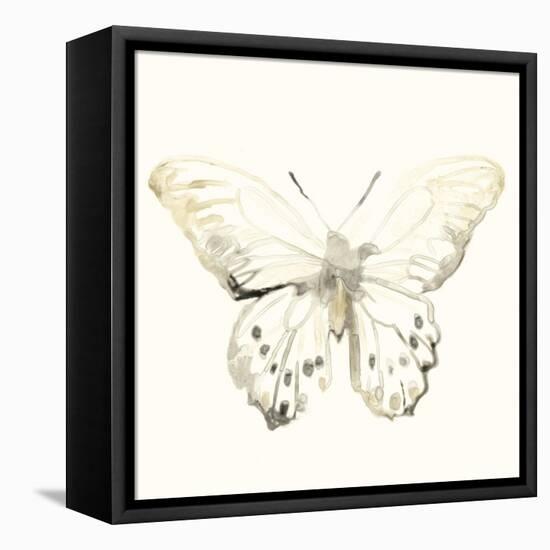Sepia Butterfly Impressions II-June Erica Vess-Framed Stretched Canvas