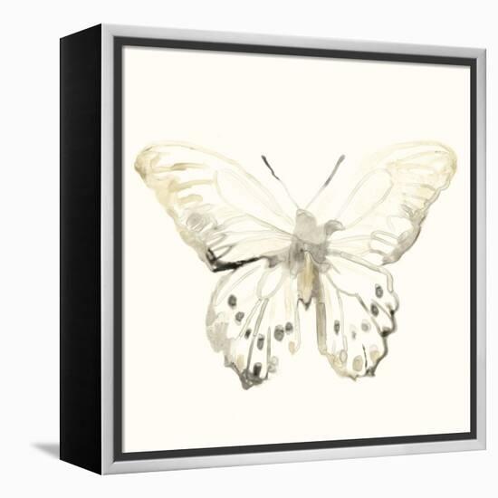 Sepia Butterfly Impressions II-June Erica Vess-Framed Stretched Canvas