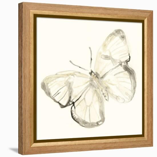 Sepia Butterfly Impressions III-June Erica Vess-Framed Stretched Canvas