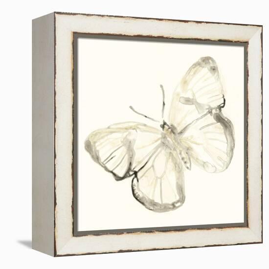 Sepia Butterfly Impressions III-June Erica Vess-Framed Stretched Canvas