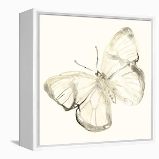 Sepia Butterfly Impressions III-June Erica Vess-Framed Stretched Canvas
