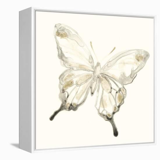 Sepia Butterfly Impressions IV-June Erica Vess-Framed Stretched Canvas