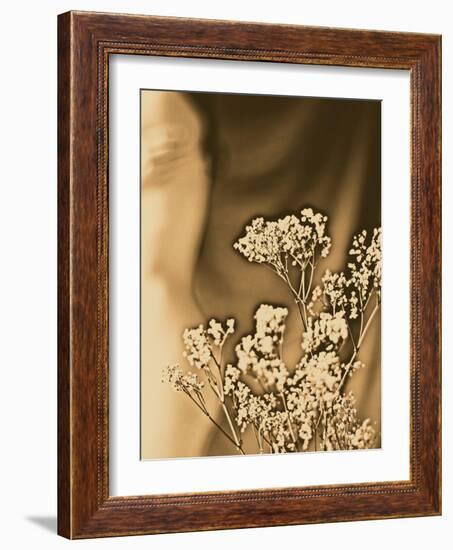 Sepia Coloured Flowers-India Hobson-Framed Photographic Print