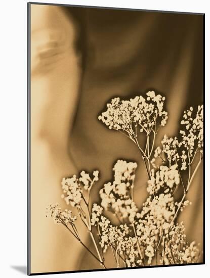 Sepia Coloured Flowers-India Hobson-Mounted Photographic Print