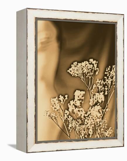 Sepia Coloured Flowers-India Hobson-Framed Premier Image Canvas