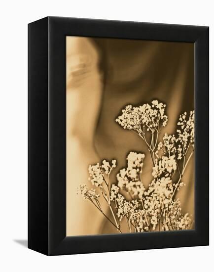 Sepia Coloured Flowers-India Hobson-Framed Premier Image Canvas