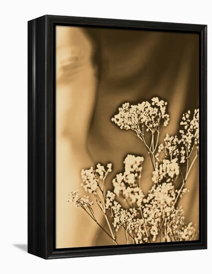 Sepia Coloured Flowers-India Hobson-Framed Premier Image Canvas