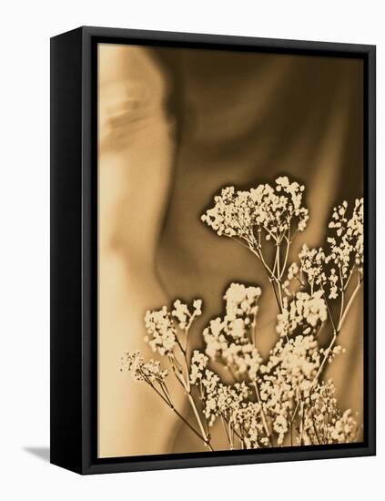 Sepia Coloured Flowers-India Hobson-Framed Premier Image Canvas