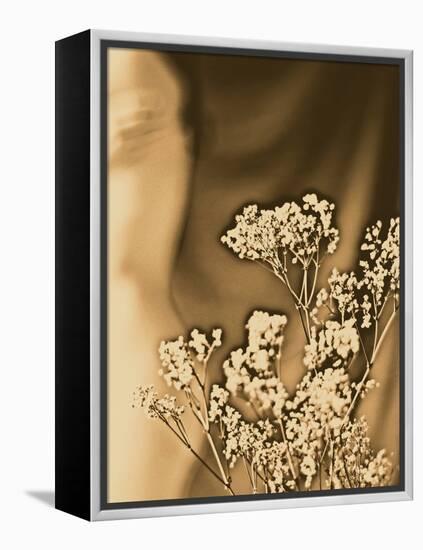 Sepia Coloured Flowers-India Hobson-Framed Premier Image Canvas