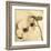 Sepia Dogwoods II-Heather Johnston-Framed Giclee Print