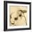 Sepia Dogwoods II-Heather Johnston-Framed Giclee Print