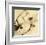 Sepia Dogwoods III-Heather Johnston-Framed Giclee Print