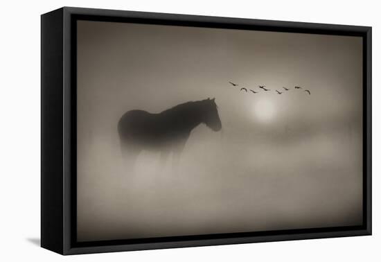 Sepia Dreams-Adrian Campfield-Framed Premier Image Canvas