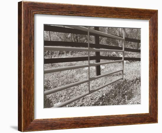 Sepia Farm Study I-Alicia Ludwig-Framed Photographic Print