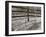 Sepia Farm Study I-Alicia Ludwig-Framed Photographic Print