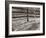 Sepia Farm Study I-Alicia Ludwig-Framed Photographic Print