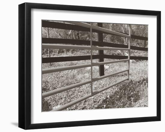 Sepia Farm Study I-Alicia Ludwig-Framed Photographic Print
