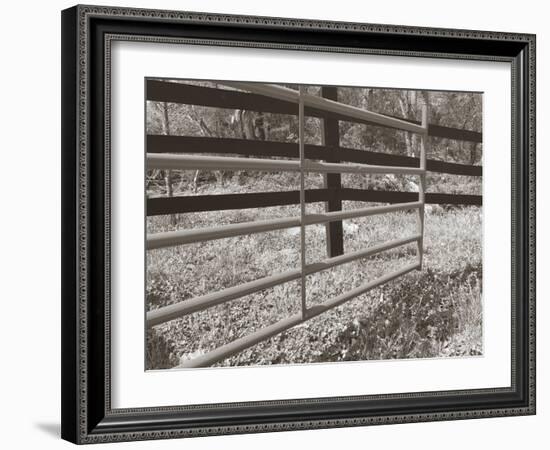 Sepia Farm Study I-Alicia Ludwig-Framed Photographic Print