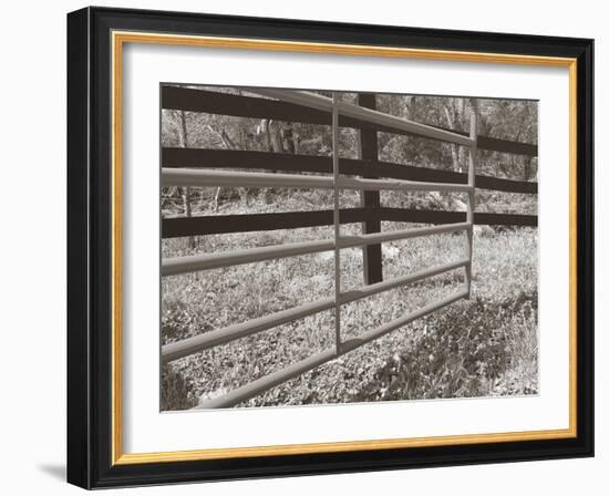 Sepia Farm Study I-Alicia Ludwig-Framed Photographic Print