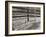 Sepia Farm Study I-Alicia Ludwig-Framed Photographic Print