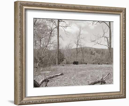 Sepia Farm Study II-Alicia Ludwig-Framed Photographic Print