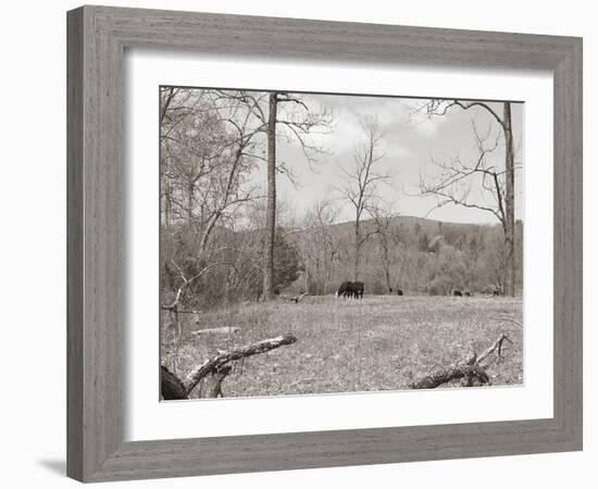 Sepia Farm Study II-Alicia Ludwig-Framed Photographic Print