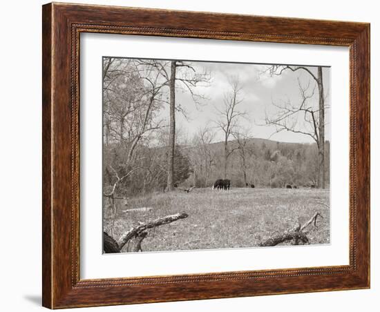 Sepia Farm Study II-Alicia Ludwig-Framed Photographic Print