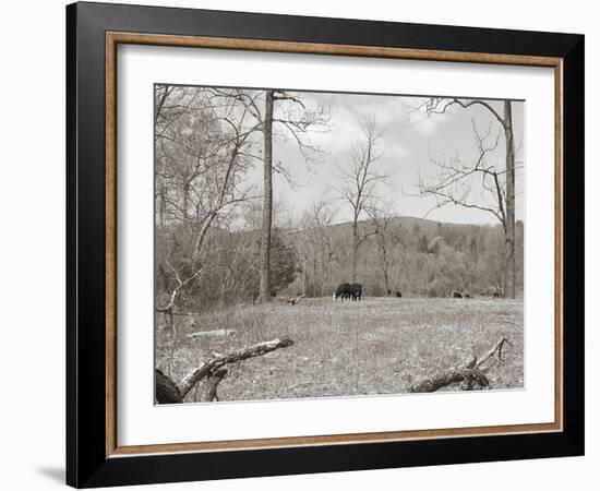 Sepia Farm Study II-Alicia Ludwig-Framed Photographic Print