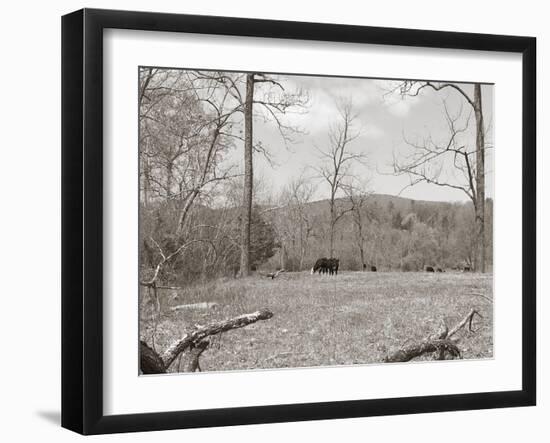 Sepia Farm Study II-Alicia Ludwig-Framed Photographic Print
