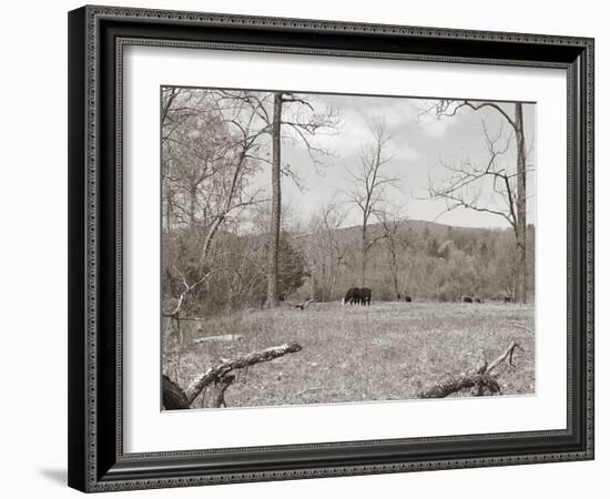 Sepia Farm Study II-Alicia Ludwig-Framed Photographic Print