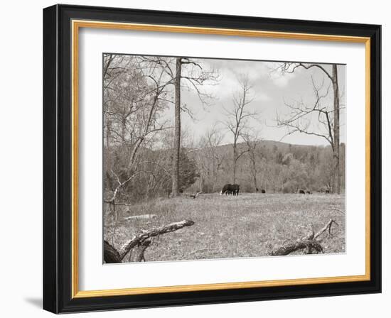 Sepia Farm Study II-Alicia Ludwig-Framed Photographic Print