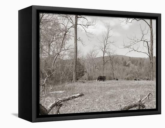 Sepia Farm Study II-Alicia Ludwig-Framed Premier Image Canvas