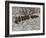 Sepia Farm Study III-Alicia Ludwig-Framed Photographic Print