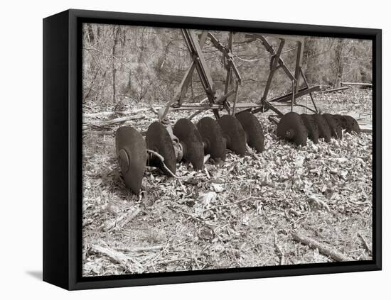 Sepia Farm Study III-Alicia Ludwig-Framed Premier Image Canvas