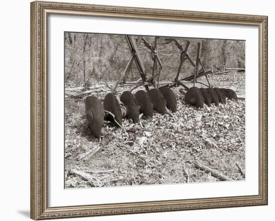 Sepia Farm Study III-Alicia Ludwig-Framed Photographic Print