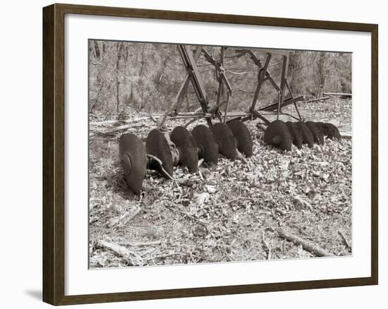 Sepia Farm Study III-Alicia Ludwig-Framed Photographic Print