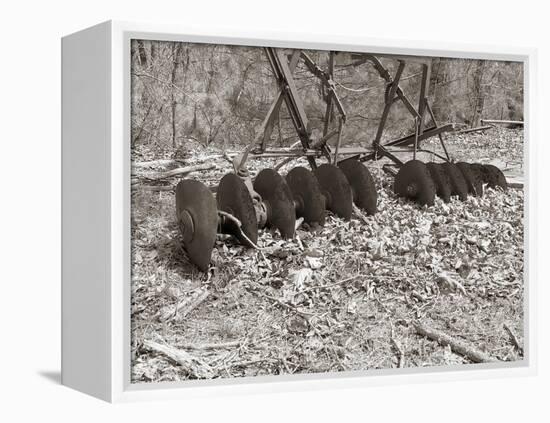 Sepia Farm Study III-Alicia Ludwig-Framed Premier Image Canvas