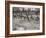 Sepia Farm Study IV-Alicia Ludwig-Framed Photographic Print