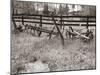 Sepia Farm Study IV-Alicia Ludwig-Mounted Photographic Print