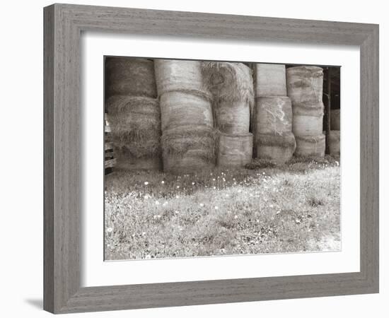 Sepia Farm Study V-Alicia Ludwig-Framed Photographic Print