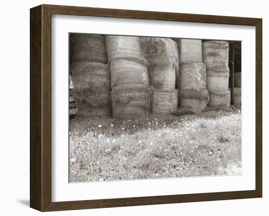 Sepia Farm Study V-Alicia Ludwig-Framed Photographic Print