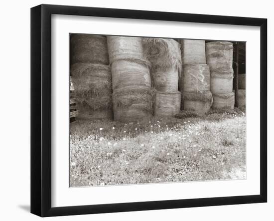 Sepia Farm Study V-Alicia Ludwig-Framed Photographic Print