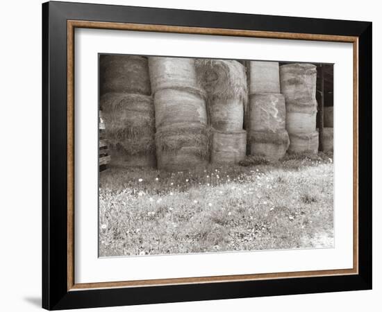 Sepia Farm Study V-Alicia Ludwig-Framed Photographic Print