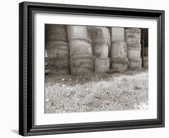 Sepia Farm Study V-Alicia Ludwig-Framed Photographic Print