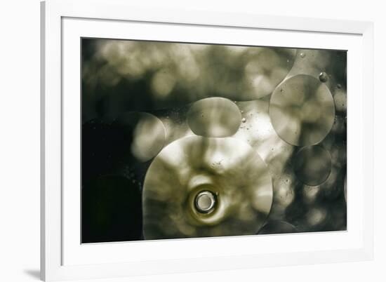 Sepia-Flecks-Carrie Webster-Framed Photographic Print