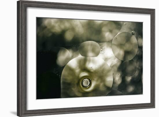 Sepia-Flecks-Carrie Webster-Framed Photographic Print