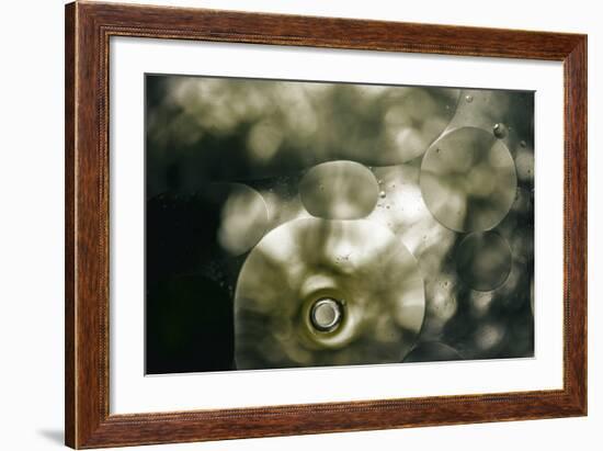 Sepia-Flecks-Carrie Webster-Framed Photographic Print