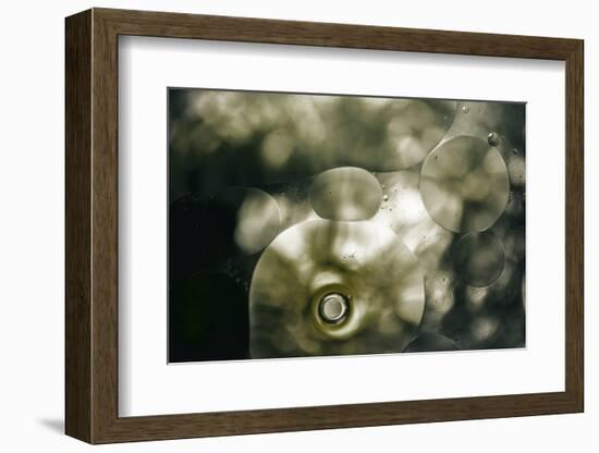 Sepia-Flecks-Carrie Webster-Framed Photographic Print